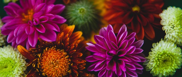 打造一支以 打造一支以