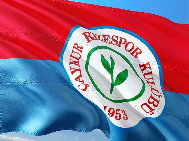 优化成功打 优化成功打