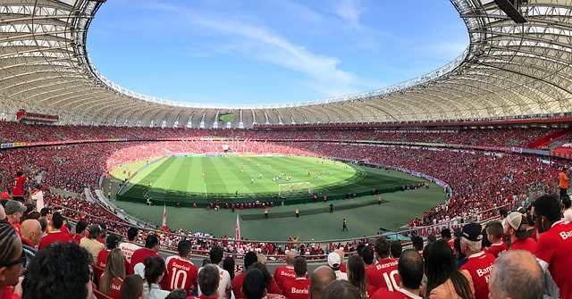 菲尼克斯太