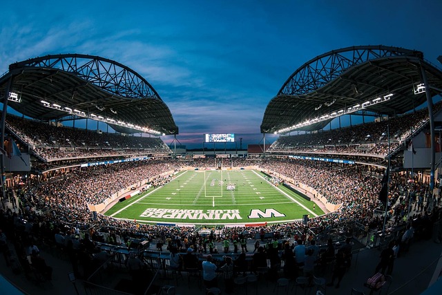 依托团队的 依托团队的