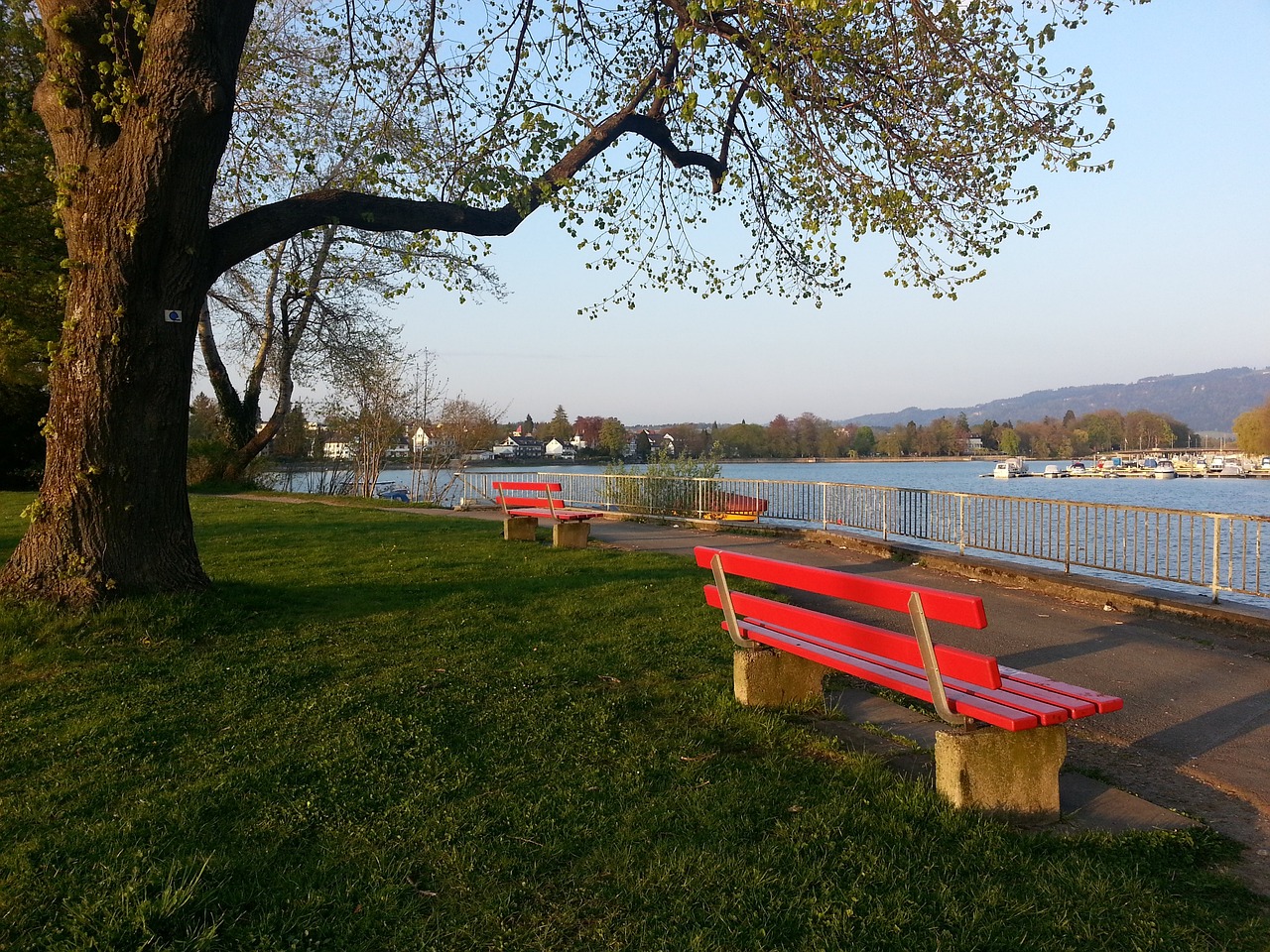 类似的成功 类似的成功
