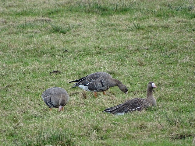 得運動知識 得運動知識