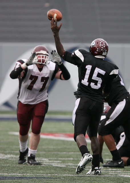 业足球赛场 业足球赛场