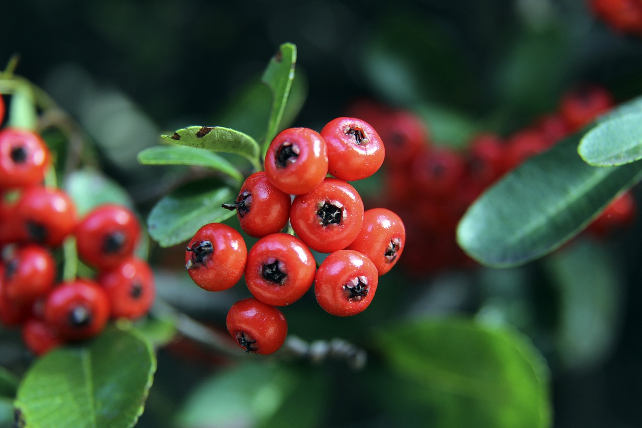 到白热化阶 到白热化阶