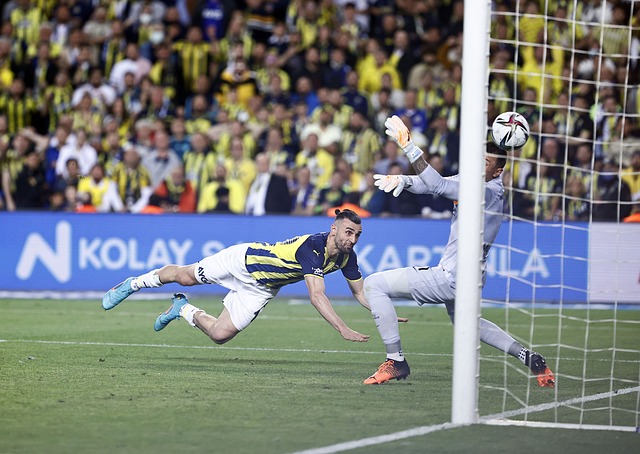 位与潜力 位与潜力