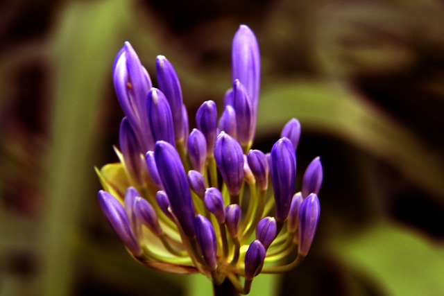 球队不可或 球队不可或